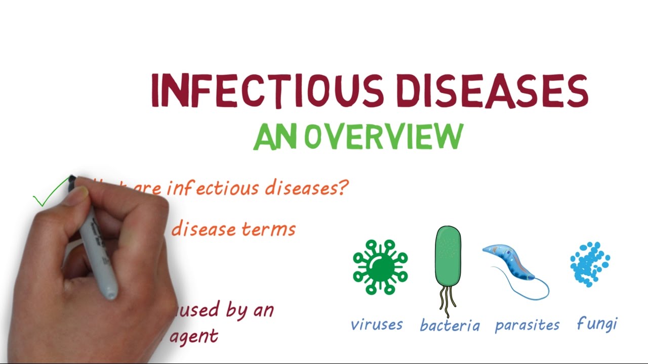 Infectious Diseases: A Beginner's Guide to the Basics