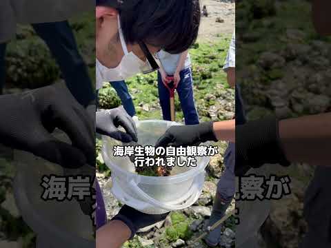海洋生物実習紹介（渡波海岸編）