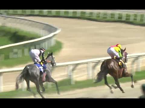 221126 c03 - PRINCESA BLANCA ML - HIPODROMO LAS PIEDRAS