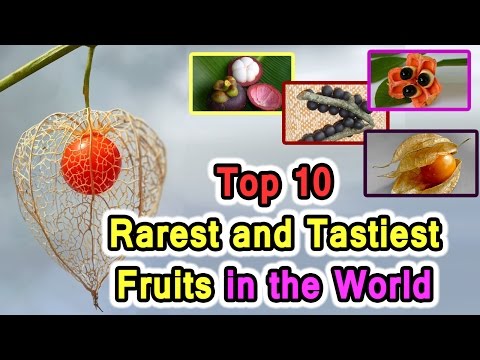 10 rarest and tastiest fruits in the world