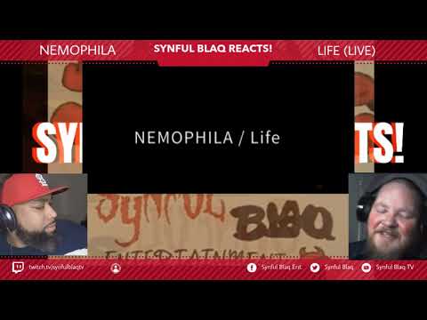 This is a very Touching Song!!! Synful Blaq Reacts - Nemophila - Life (Live)