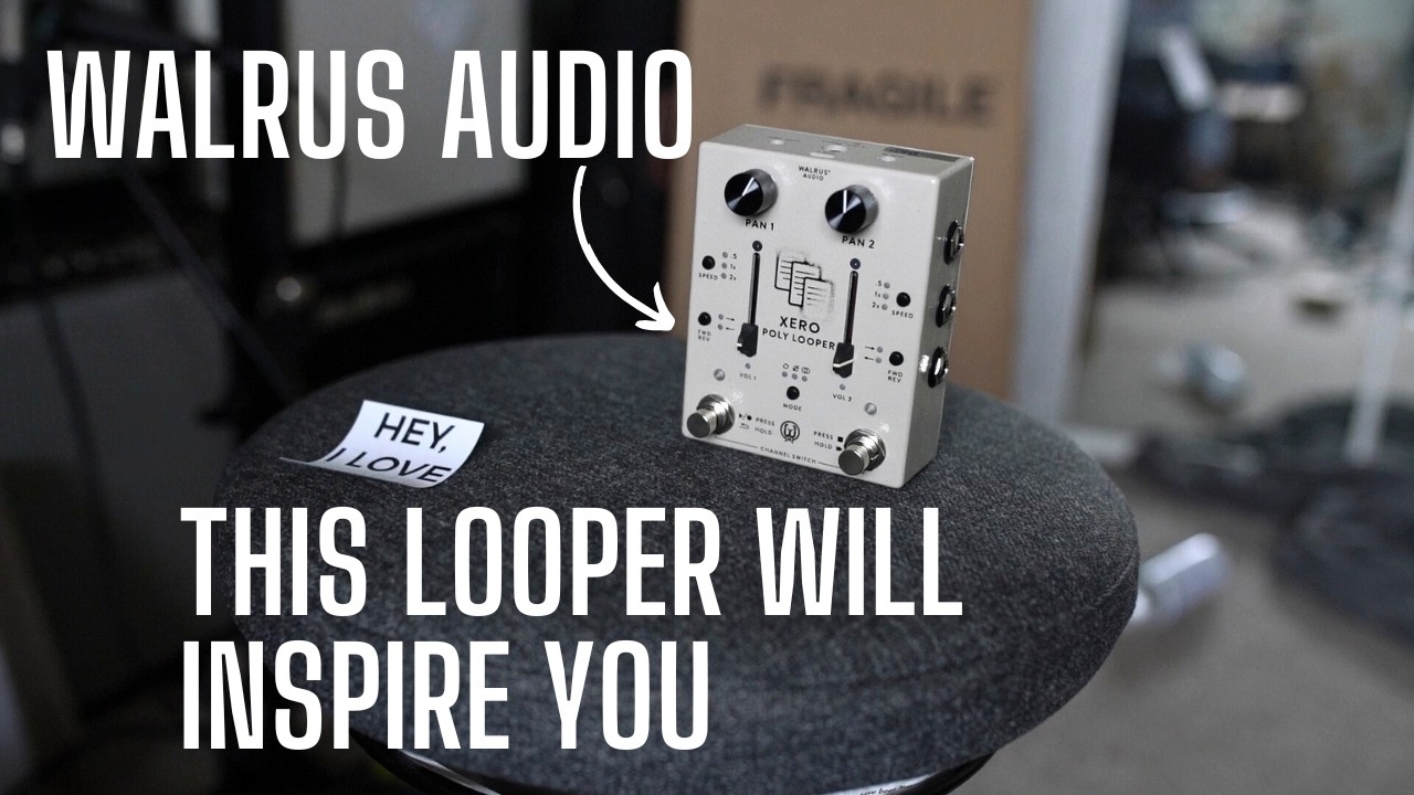 So Walrus Audio Made a Looper! Introducing the XERO Poly Looper - STEREO MIDI and MORE - YouTube
