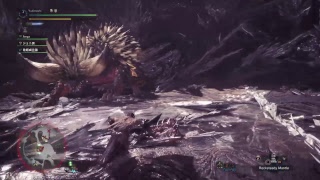 Monster Hunter World Day 7 ( 9 Stars Quests All Day)