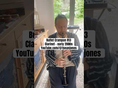 Buffet Crampon R-13 Bb Clarinet with Video. 2000s - Black. Serviced by Pros. EU Only. image 10