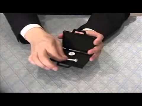 Tenyo - 4 dimensional trunk