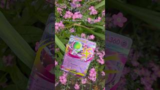 Can you feel the magic? ✨️#pokemon #pokemoncards #pokemoncommunity #pokemonphotography #PokemonTCG