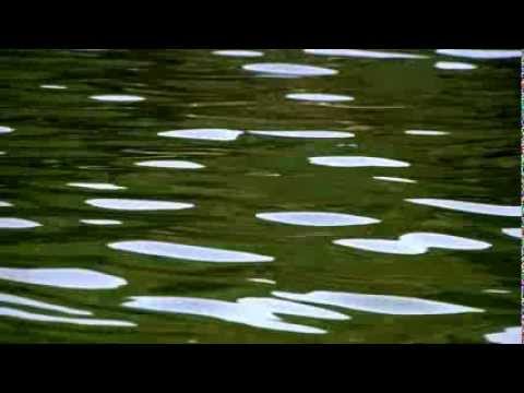 The Muses Rapt - Sweet Planet