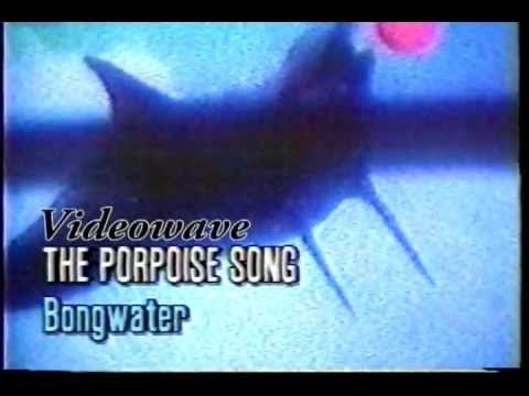 Video thumbnail for The Porpoise Song