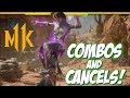 JADE COMBOS AND POLE VAULT CANCELS Mortal Kombat 11 Jade Gameplay Beta