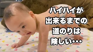 生後6ヶ月 はいはいの前兆 日々特訓に励む赤ちゃん برنامج تنزيل Mp3 الأكثر شعبية على الإنترنت