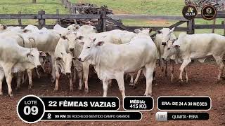 Vídeo LOTE 09