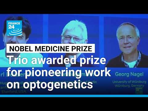 the Nobel-winning science of optogenetics • FRANCE 24 English