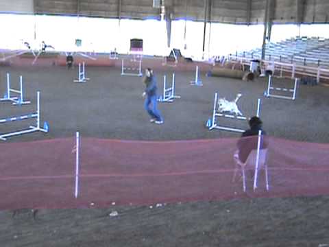 Courtney&rsquo;s K9 Crew video.