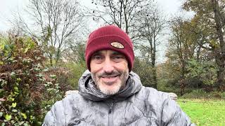 Meditation of the Falling Stars – Tim Whild.