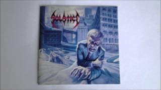 Solstice - S.M.D. (Carnivore Cover)