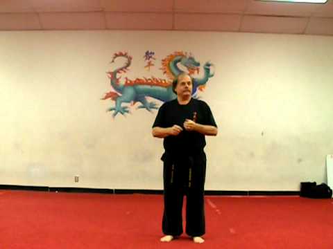 Kung Fu San Soo Vlog on Top Ga by Master Bill Hulsey