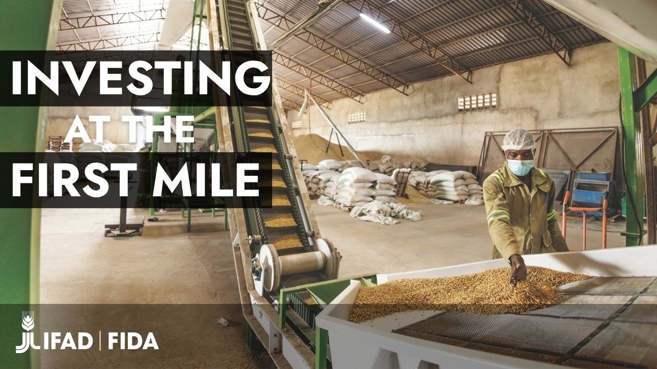 IFAD - Investing in rural people