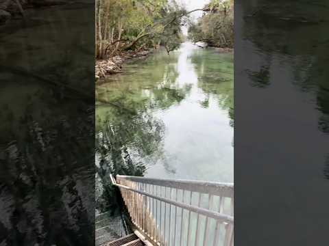 没想到小小的偏光眼镜竟然还能救你一命！#科普 #有趣