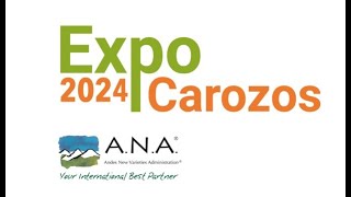 ExpoCarozos 2024