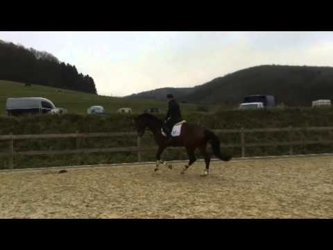 Climax - Wallach 2010 Camax L / Dinard L / Weinberg