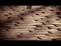 MISSINCAT feat. Dente - CAPITA - 