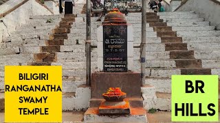 Temple video