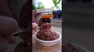 Fütterst du deine Katze Falsch? Wie oft Katze füttern? Tipps #katzenwissen #katze