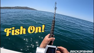 Download the video "Penn Electric Reel / Rock Fishing / Catalina Island #fishing #oceanfishing #boatfishing #adventure"