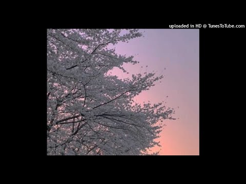 zibex x matiskater - notatnik