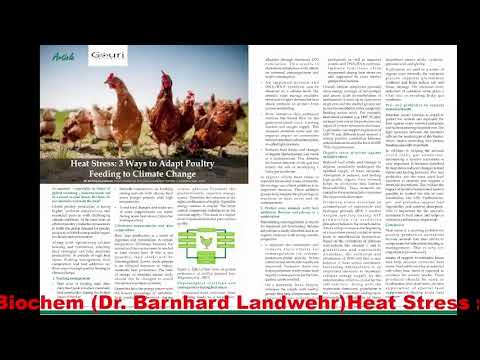 Heat Stress : 3 Ways to Adapt Poultry Feeding to Climate Change  by Biochem (Dr. Barnhard Landwehr)