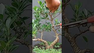 Download lagu Kimeng Bikin Bogel mp3 Download lagu Kimeng Bikin Bogel mp3