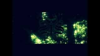 Swallow The Sun - Emerald Forest And The Blackbird (Subtítulos en español)