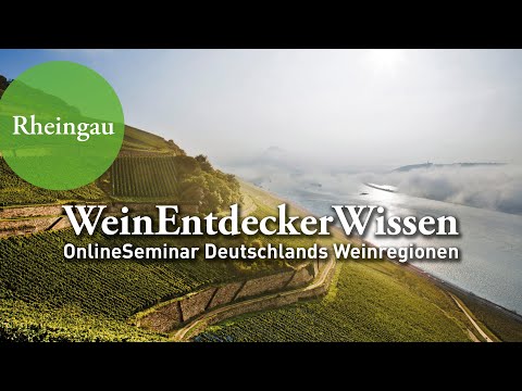 RHEINGAU – WeinEntdeckerWissen OnlineSeminar Deutschlands Weinregionen