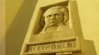 An Introduction to Beethoven's Ninth Symphony - Documentary Maximianno Cobra - Multiple Subtitles HD