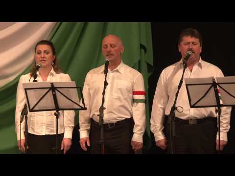 Városi március 15-i ünnepség - 2014.03.15.