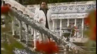 Die Flippers - Ich Träume Von Santo Domingo