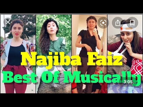 Najiba Faiz, Dil Ruba,  نجیبه فېض  chori chori chup chup kar, najeeba faiz tiktok