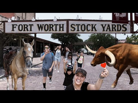 Come with us to the Fort Worth Stockyards! | Chang Gang Family Vlog