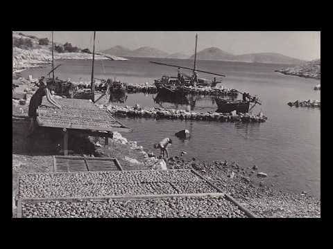 ŽIVIT U MURTERU , ANSAMBL DALMATINO , ORIGINAL