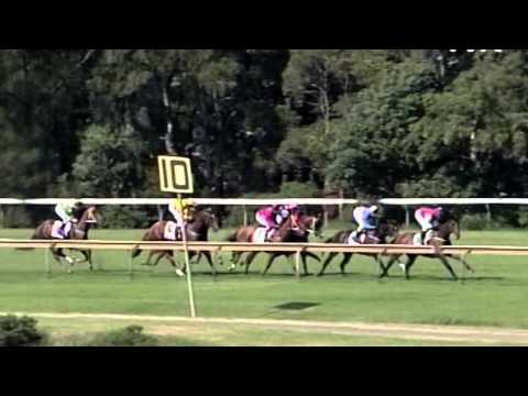 2004 Ranvet Stakes- Sound Action