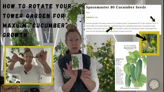 How To Rotate Your Tower Garden For Maxuim Growth of SM #cucumbers #towergarden #verticalfarming
