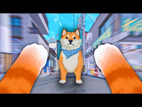 KEDİ OLUP ŞEHRE KAÇTIM - Little Kitty Big City - iplusd