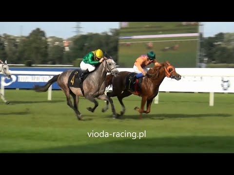 Gon. VIII - 13.09.2020 - Bravos (Ascot DD - Bertina)