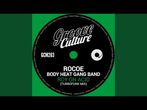 Roy On Acid (Turbofunk Extended Mix)
