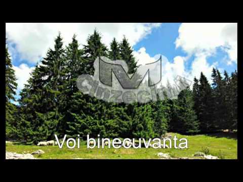 Colaj Corul Barbatesc Voitinel - O ora de muzica crestina