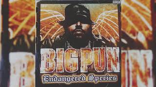 Big Pun - How We Roll &#39;98