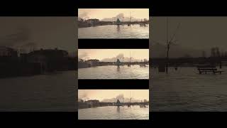 花が散っている 【人間だった / ピコン 歌ってみた】 #人間だった #ピコン #歌ってみた #cover