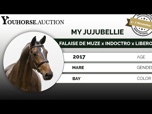 My Jujubellie @ show