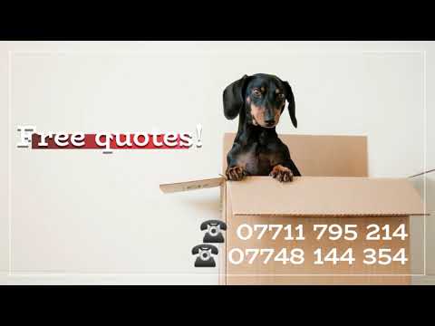 ASP Transport Removals Storage Ltd video.