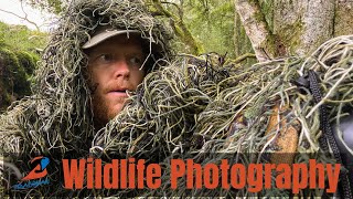 Deer Stalking for Wildlife Photography | Tragopan Ghillie Coat